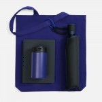 Набор Flexpen Black Walk, черный с синим