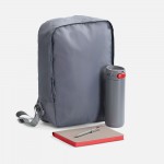 Набор Flexpen Travel, серый с красным