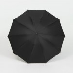 Зонт обратного сложения с ручкой-карабином Foldberry, черный