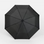 Зонт складной Basic, ver.2, черный