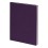 Бизнес-блокнот BIGGY, формат B5, в клетку, фиолетовый