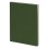 Бизнес-блокнот BIGGY, формат B5, в клетку, зеленый