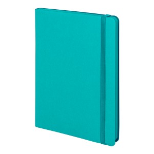 Бизнес-блокнот 'RILY', формат А5,  бирюзовый, блок в точку