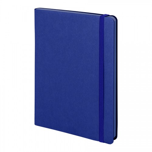 Бизнес-блокнот 'RILY', формат А5,  синий, блок в точку