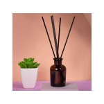 Ароматический диффузор Cynosure