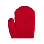 Варежки Dunant, красный
