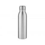 Бутылка для воды Harper из нержавеющей стали, с металлической петлей, 700 мл - Серебристый