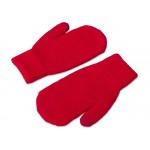 Подарочный набор  Dunant, красный