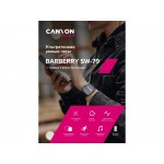 Умные часы CANYON Barberry SW-79, IP 67, BT 5.1, сенсорный дисплей 1.7, морская волна (Р)