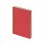 Бизнес тетрадь на гребне А5 Pragmatic, 60 листов в клетку, красный
