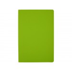 Ежедневник недатированный А5 Megapolis Color Flex New, салатовый