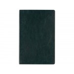 Ежедневник недатированный А5 Megapolis Nebraska Flex, зеленый с золотым обрезом (Р)