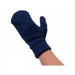 Варежки Dunant, темно-синий