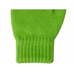 Варежки Dunant, зеленое яблоко