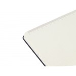 Бизнес-блокнот С3 софт-тач с магнитом, твердая обложка, 96 листов, черный