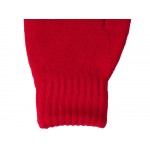 Варежки Dunant, красный