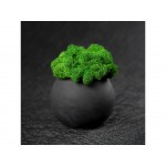 Кашпо бетонное со мхом (сфера-антарцит мох зеленый)