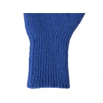 Перчатки Nordend, классический синий