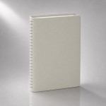Ежедневник недатированный А5 Alba, белый
