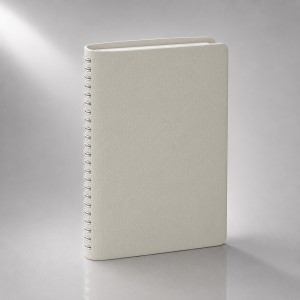 Ежедневник недатированный А5 Alba, белый