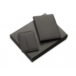 Подарочный набор Consul: обложка для паспорта и картхолдер, серый