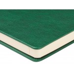 Ежедневник недатированный А5 Premier, зеленый Ежедневник недатированный А5 Premier, зеленый