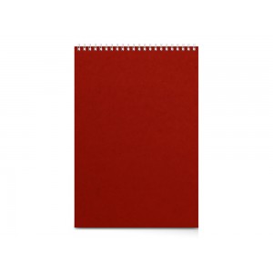 Бизнес - блокнот А4 (198 х 285 мм) Office 60 л., красный