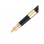 Ручка 2 в 1 шариковая и перьевая Pierre Cardin COMBI PEN, цвет - черный. Упаковка Е